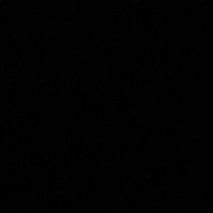 Meet your Posher, Bree